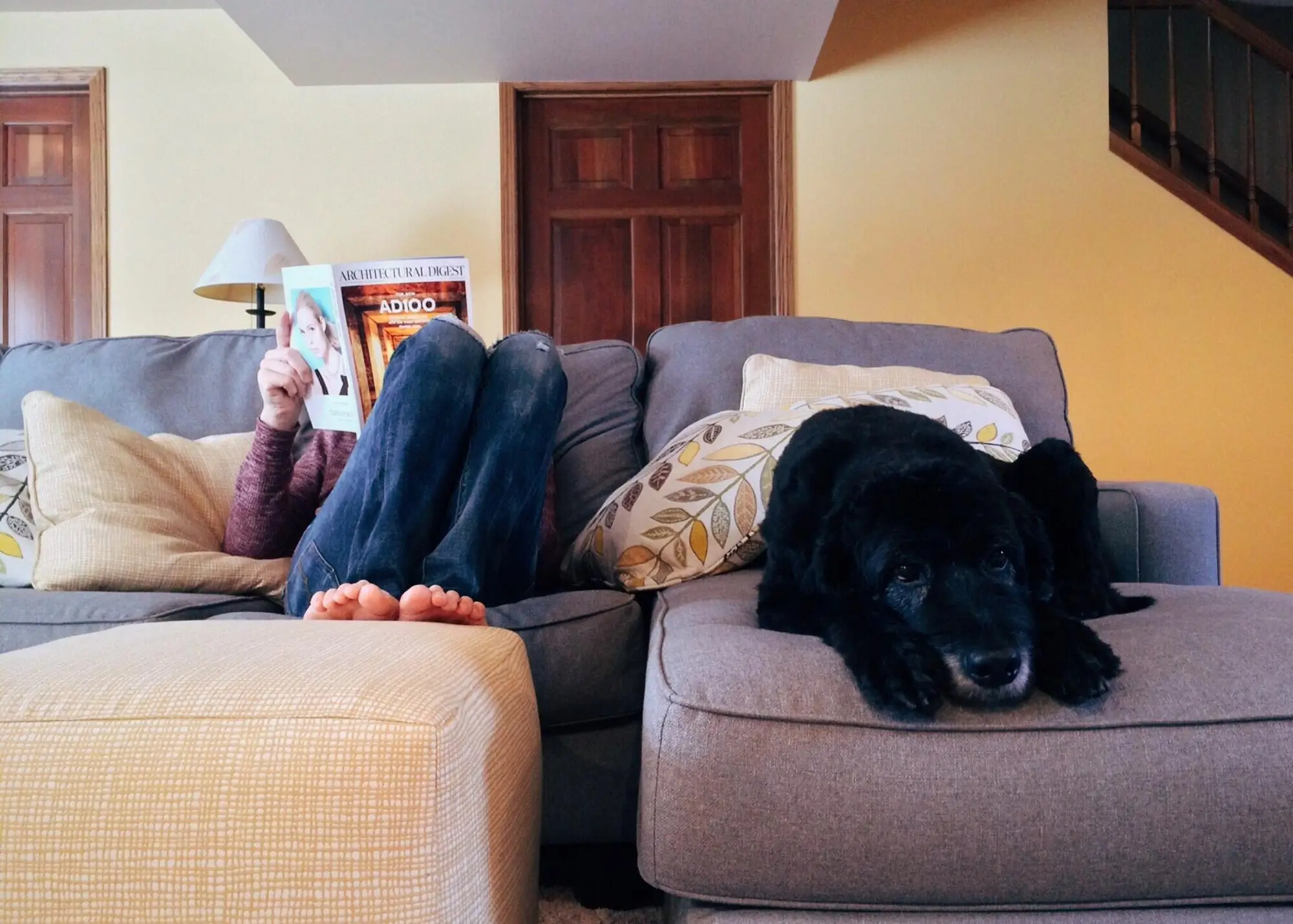 Essential Pet Screening Tips for College Station, TX Landlords